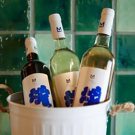 Mas Lazuli By Fimedhotels Hotel 4*