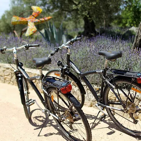 Mas Lazuli By Fimedhotels 4* Pau