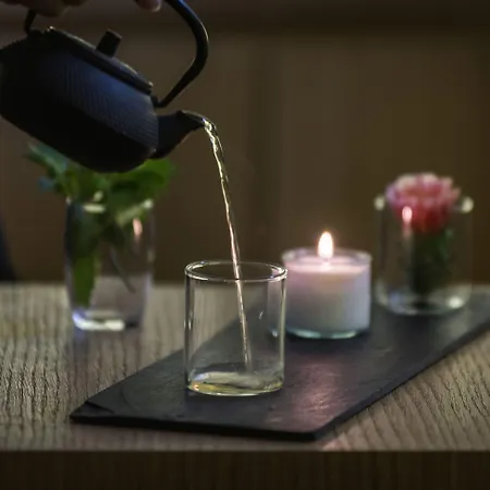 Mas Lazuli By Fimedhotels Hotel Pau