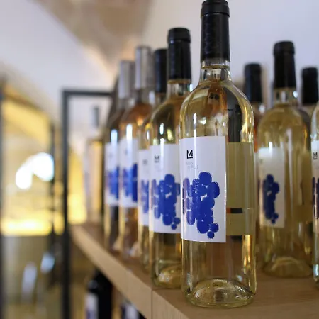 Hotel Mas Lazuli By Fimedhotels 4*